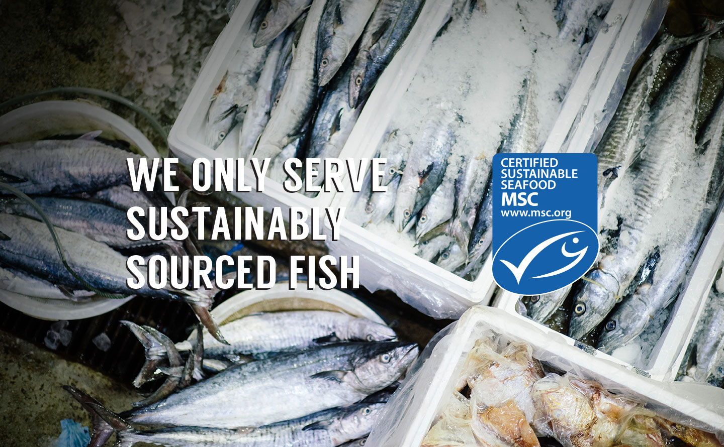 Smiths sustainably sourced fish source graphic